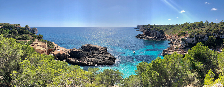 Turquiose cove surrounded by lush green trees in Majorca